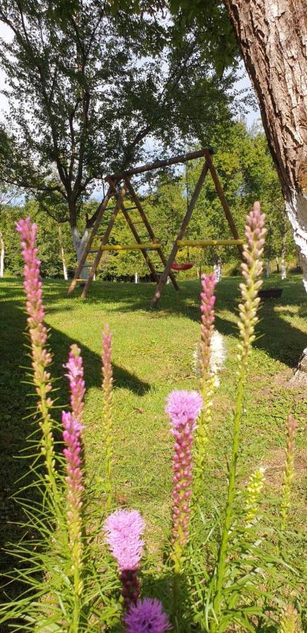 Holiday Home, Apartman Obajdin Slunj Exterior foto